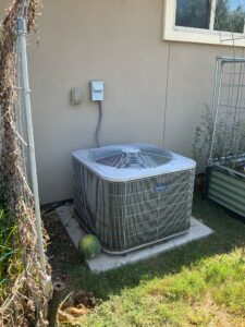 985cb2ed 0718 44c3 96a1 520ccd88ba09 Cdv Photo 001 225x300