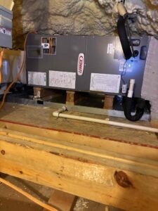 Abb4e5d8 F4d0 4fbe 977e F0841d477c91 Cdv Photo 006 225x300